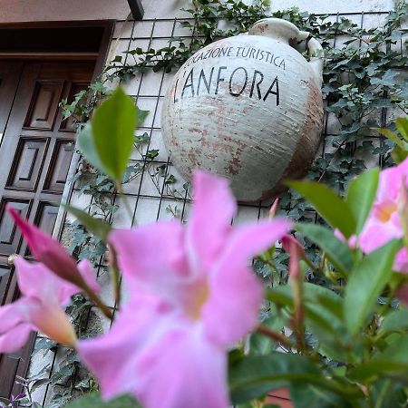 L' Anfora Locazione Turistica Terni Exterior foto